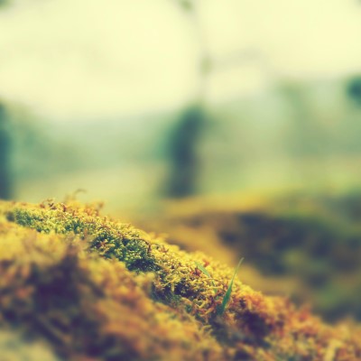 1920 x 1080 HD Wallpapers 183